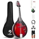 Comparativa: Mandolina vs Guitarra - Ventajas y desventajas en instrumentos de cuerda