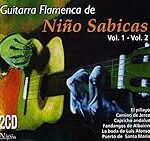 Análisis comparativo: ¿Qué guitarra flamenca comprar? Ventajas y desventajas