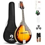 Análisis comparativo: Ventajas y desventajas de la mandolina como instrumento musical