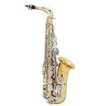 Saxofón de segunda mano: Análisis comparativo de las ventajas y desventajas en la compra de instrumentos de música usados Saxofón de segunda mano: Análisis comparativo de las ventajas y desventajas en la compra de instrumentos de música usados