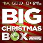 Análisis comparativo: Ventajas y desventajas del altavoz EON 612 en el mundo de la música